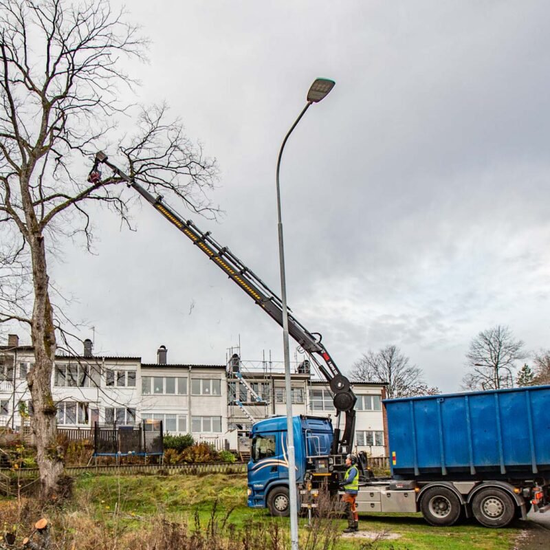 Pågående trädfällning via kranbil från Centralen i Trestad.